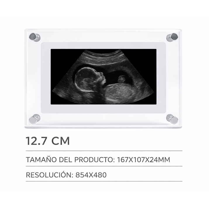 Little Eternity™ Marco Digital